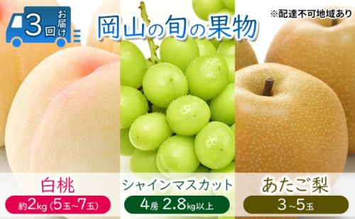 フルーツ 定期便 【2025年 先行予約】 桃 ぶどう 梨 3回お届け 白桃 約2kg入り（5玉～7玉） シャインマスカット 4房2.8kg以上 あたご梨  (3～5玉)  岡山県産 国産 セット ギフト 1916653 - 岡山県玉野市