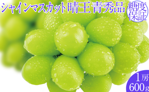 2026年予約受付中 シャインマスカット晴王 1房 約600g  7月～8月出荷 人気 岡山県産 種無し 皮ごと食べる みずみずしい  フレッシュ 晴れの国 おかやま 果物大国 ハレノフルーツ 1916660 - 岡山県玉野市