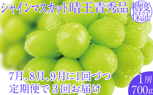 2026年予約受付中【3回定期便】シャインマスカット晴王1房 約700g 7月8月9月に出荷  人気 岡山県産 種無し 皮ごと食べる みずみずしい   おかやま 果物大国 ハレノフルーツ 1916667 - 岡山県玉野市