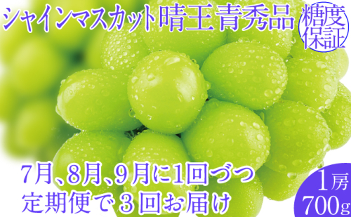 2025年予約受付中【3回定期便】シャインマスカット晴王1房 約700g 7月8月9月に出荷  人気 岡山県産 種無し 皮ごと食べる みずみずしい   おかやま 果物大国 ハレノフルーツ 1916667 - 岡山県玉野市