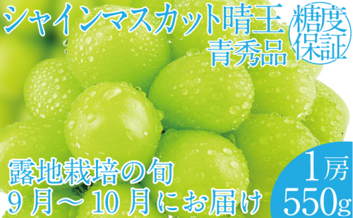 2025年 先行予約受付中 シャインマスカット晴王1房 約550g 岡山県産 種無し 皮ごと食べる みずみずしい 甘い フレッシュ 瀬戸内 晴れの国 おかやま 果物大国 ハレノフルーツ 1916672 - 岡山県玉野市