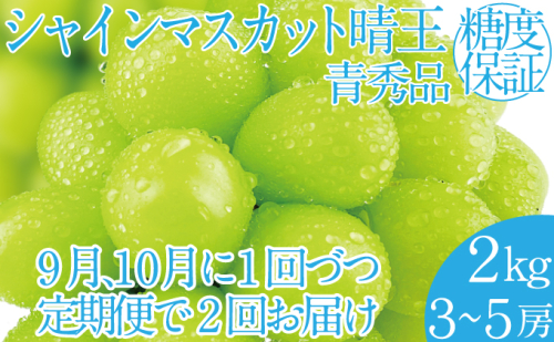 2025年 先行予約受付中【2回定期便】シャインマスカット晴王 約2k(3～5房) 岡山県産 種無し 皮ごと食べる みずみずしい 甘い フレッシュ 瀬戸内 晴れの国 おかやま 果物大国 ハレノフルーツ 1916685 - 岡山県玉野市