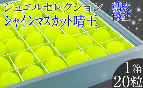 2025年 先行予約受付中 シャインマスカット晴王 ジュエルセレクション 1箱20粒 岡山県産 種無し 皮ごと食べる みずみずしい 甘い フレッシュ 瀬戸内 晴れの国 おかやま 果物大国 ハレノフルーツ 1916686 - 岡山県玉野市