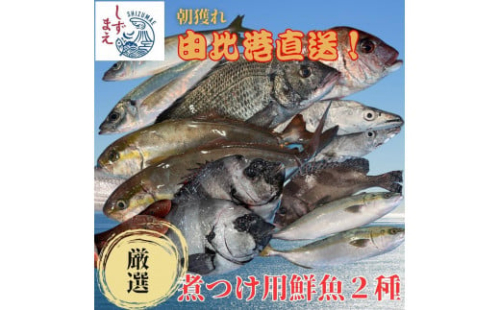 しずまえ！煮つけ用鮮魚ボックス(厳選２種入り) 1917075 - 静岡県静岡市