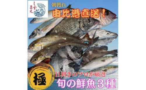 しずまえ！［極］鮮魚ボックス(厳選3種入り) 1917077 - 静岡県静岡市