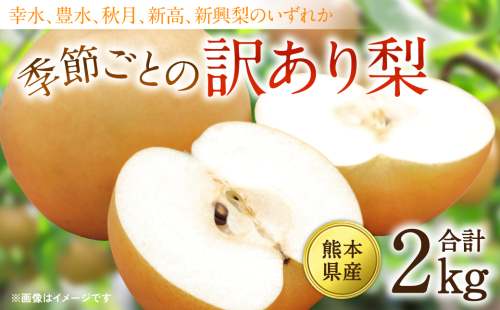 【先行予約】【2025年8月上旬より順次発送】熊本県産 季節ごとの訳あり梨 合計2kg　ナシ 幸水 豊水 秋月 新高 神興梨 果物 くだもの フルーツ 1917134 - 熊本県八代市