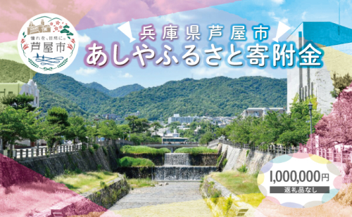 【返礼品なし】 兵庫県 芦屋市 あしやふるさと寄附金 1,000,000円 1917579 - 兵庫県芦屋市