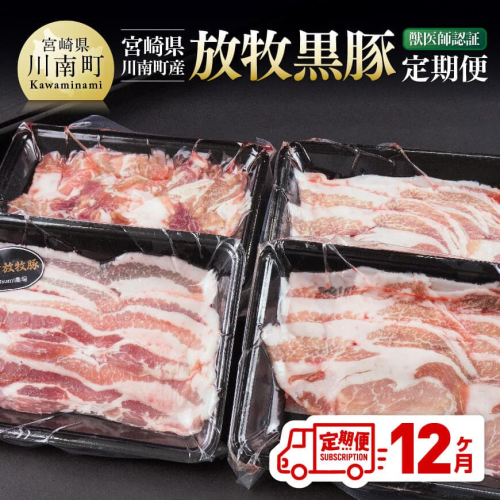 【12ヶ月定期便】宮崎県川南町産 放牧黒豚定期便 【 豚 肉 豚肉 国産 黒豚 九州産 宮崎県産 川南町 加工品 セット 送料無料 】 1917610 - 宮崎県川南町