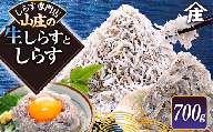 生しらす 200g 訳ありしらす干し 500g セット 冷凍 刺身 真空パック しらす干し 炒飯 パスタ ごはん 丼 サラダ 魚 料理 愛知県 南知多町 師崎 シラス しらす 小魚 魚貝 魚貝類 しらす シラス 海鮮 しらす丼 シラス丼 ふるさと納税しらすしらす おすすめ 大人気 南知多産しらす愛知県産しらす シラス しらす しらすごはん shirasu sirasu SIRASU 人気シラス