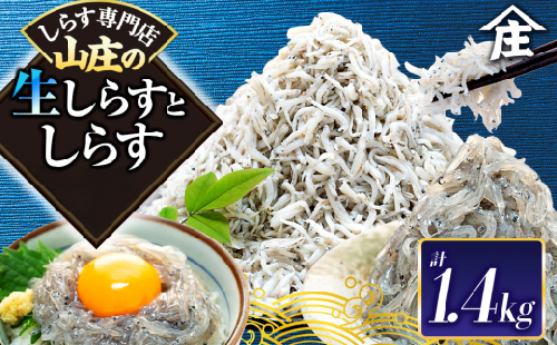 生しらす 400g 訳ありしらす干し 1kg セット 冷凍 刺身 真空パック しらす干し 炒飯 パスタ ごはん 丼 サラダ 魚 料理 愛知県 南知多町 師崎 シラス しらす 小魚 魚貝 魚貝類 しらす シラス 海鮮 しらす丼 シラス丼 ふるさと納税しらすしらす おすすめ 大人気 南知多産しらす愛知県産しらす シラス しらす しらすごはん shirasu sirasu SIRASU 人気シラス