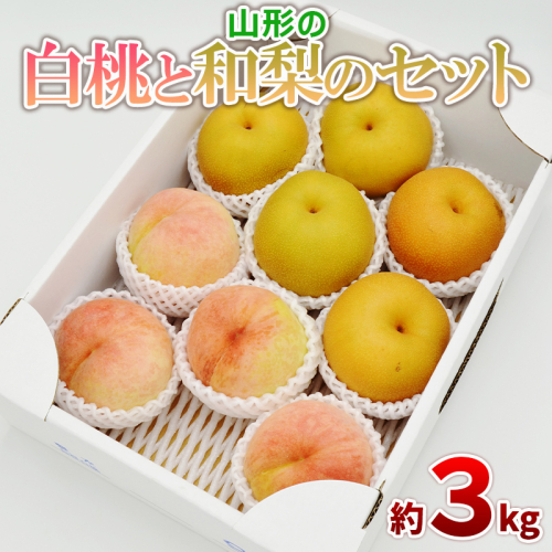 白桃と和梨の詰合せ 秀品 約3kg(6～12玉) 【令和7年産先行予約】FS24-817 1918643 - 山形県山形市