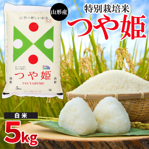 令和6年産 山形産 特別栽培米 つや姫【白米】 5kg FY24-522 1918712 - 山形県山形市