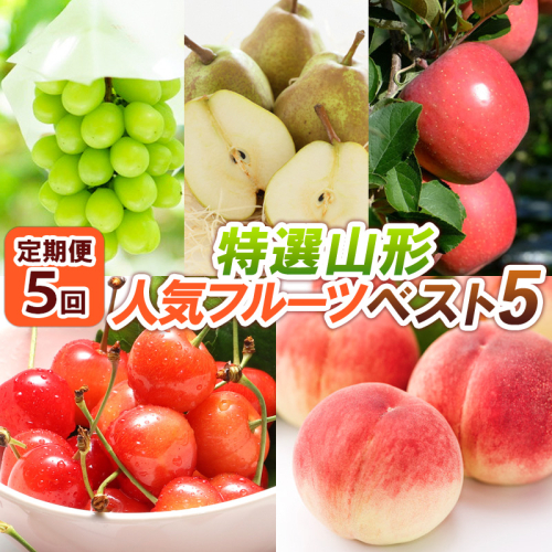 【定期便5回】特選山形人気フルーツベスト5 FY24-519 1918723 - 山形県山形市