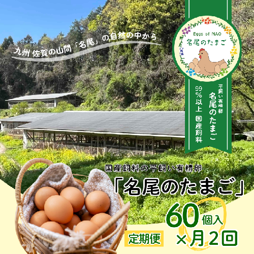 【定期便24回】国産飼料の平飼い有精卵「名尾のたまご」60個入：C520-002 1918967 - 佐賀県佐賀市