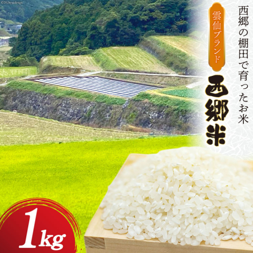 米 令和6年 西郷米 1kg 1袋 白米 [雲仙みずほの郷 長崎県 雲仙市 item2025] 令和6年産 お米 おこめ 精米 1918979 - 長崎県雲仙市