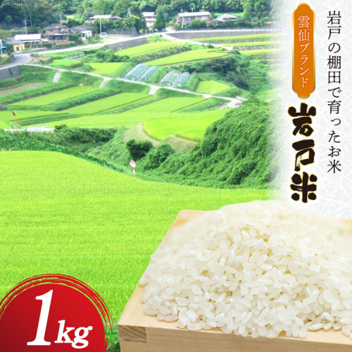 米 令和6年 岩戸米 1kg 1袋 白米 [雲仙みずほの郷 長崎県 雲仙市 item2021] 令和6年産 お米 おこめ 精米 1918989 - 長崎県雲仙市