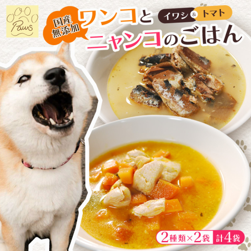 無添加 ペットフード (イワシ煮 トマトシチュー) ワンコとニャンコのご飯 2種類 4袋 犬 猫 ドッグフード キャットフード 安心 安全 ペット フード ペット用品 ヒューマングレード リッチフード いぬ ねこ 犬用 猫用 自然食材 魚 肉 野菜 やさい ごはん ご飯 餌 エサ わんこ にゃんこ 健康 健康食品 舞鶴市 京都府 1918993 - 京都府舞鶴市