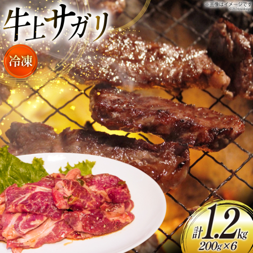 サガリ 牛 上サガリ 200g 6パック 計1.2kg [焼肉銀座園 北海道 砂川市 12260732-c] 冷凍 焼肉 焼き肉 牛肉 肉 小分け やきにく レビューキャンペーン 1919015 - 北海道砂川市