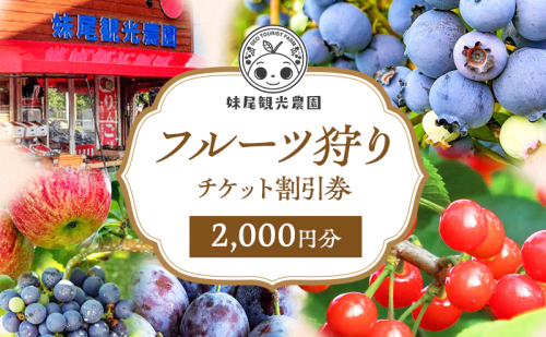 妹尾観光農園 フルーツ狩りチケット2000円 チケット クーポン 利用券 フルーツ 旅行 体験 農園 北海道 仁木町 1919048 - 北海道仁木町