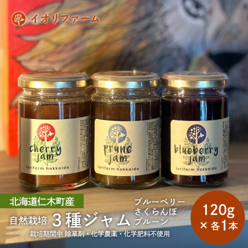 北海道 仁木町産 ジャム120g×3種セット（ブルーベリー・プルーン・さくらんぼ） 栽培期間中 除草剤・化学農薬・化学肥料不使用 サクランボ 果物 フルーツ イオリファーム [iori farm] 1919064 - 北海道仁木町