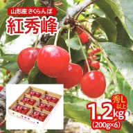FS21-677 山形産 さくらんぼ(紅秀峰) 秀L以上 1.2kg(200g×6パック)