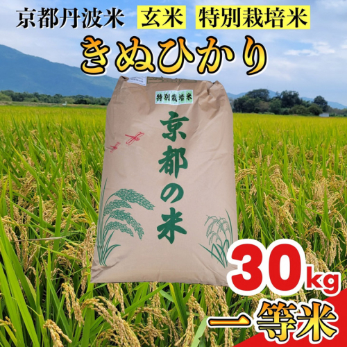 玄米 30kg 京都丹波米 きぬひかり◇《米 一等米 キヌヒカリ 特別栽培米 減農薬》※北海道・沖縄・離島への配送不可 191910 - 京都府亀岡市
