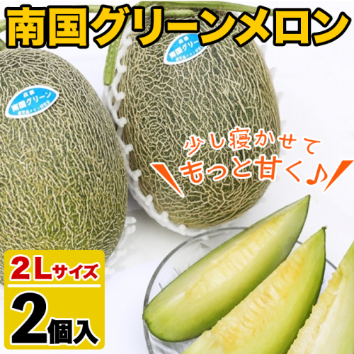 ＜先行予約受付中！2026年6月以降順次発送予定＞鹿児島県産！南国グリーンメロン(2Lサイズ×2個) メロン めろん 果物 スイーツ デザート フルーツ【あくね旬の店いきいき館】akn015-17 192000 - 鹿児島県阿久根市