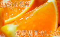 【先行予約】【春の美味】【農家直送】濃厚清見オレンジ（ご家庭用）約5kg※2025年2月下旬～4月中旬頃に順次発送予定※北海道・沖縄・離島への配送不可