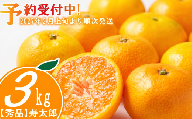 秀品 寿太郎 みかん 3kg 産地直送 柑橘 フルーツ 果物 蜜柑 時期 旬 季節限定 西浦 おいしい 丸榮 国産 静岡 沼津