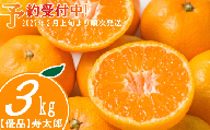 優品 寿太郎 みかん 3kg 産地直送 柑橘 フルーツ 果物 蜜柑 時期 旬 季節限定 西浦 おいしい 丸榮 国産 静岡 沼津