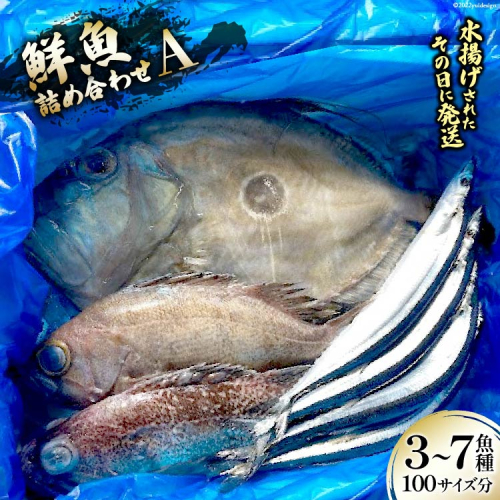 鮮魚 詰め合わせ A 3～7魚種 100サイズ分 [さんりくみらい 宮城県 気仙沼市 20563531] 産地直送 旬 魚介 魚 さかな 192044 - 宮城県気仙沼市