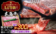 【全12回定期便】【冷蔵】牛肉  広島 和牛 贅沢セット 計300g 肩ロース 焼肉用 150g サーロイン 150g 牛肉 肉 にく 国産 和牛 牛 黒毛和牛 くろげわぎゅう お肉 高級 肉質等級 A4等級以上 A5等級 ブランド牛 広島県産 三次市産 みよし 三好 霜降り ギフト 贈答 プレゼント お取り寄せ おとりよせ ご当地 焼き肉 やきにく  三次市/広島三次ワイナリー[APAZ076]