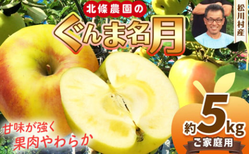 家庭用 ぐんま名月 約5kg 【2026年先行予約】 ｜ 北條農園 リンゴ りんご 林檎 果物 フルーツ 果実 果汁 ぐんま名月  家庭用 長野県 松川村 信州