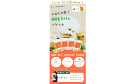 国産・保存料無添加の常温フレッシュドッグフード【ペトコトフーズ】お試し4種類セット100g×12パック（ビーフ×3/ポーク×3/チキン3/フィッシュ×3）