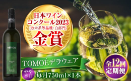 【ふるさと納税】【全12回定期便】TOMOEデラウェア 白ワイン やや辛口 750ml 1本 白 ワイン 受賞 ギフト 醸造 おすすめ 三次市 / 広島三