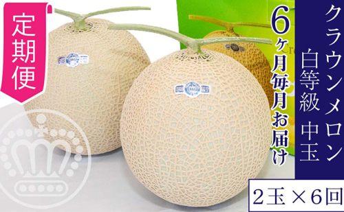 【6か月定期便】クラウンメロン【並（白等級）】中玉（1.3kg前後）2玉入り 果物類 メロン青肉 フルーツ 果物 6回 半年  192211 - 静岡県浜松市
