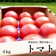 【ふるさと納税】トマト 4kg 化粧箱入 農家直送【送料無料】【2022年発送分】