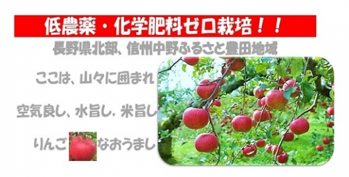 りんご サンふじ 5kg 優品 192317 - 長野県中野市