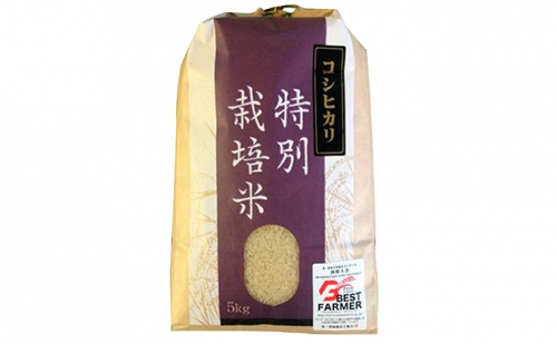 加賀百万石特別栽培米コシヒカリ「玄米」10kg2ヶ月連続お届け
