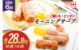 【ふるさと納税】定期便 モーニングサーブ 480g 10袋 計4.8kg 6回 総計28.8kg [ 日本ハム マーケティング 静岡県 吉田町 22424314] ソー