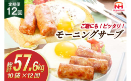 【ふるさと納税】定期便 モーニングサーブ 480g 10袋 計4.8kg 12回 総計57.6kg [ 日本ハム マーケティング 静岡県 吉田町 22424313] ソー