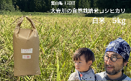 【令和7年産】米 上市町産  大岩川の自然栽培米コシヒカリ（白米）5kg [有吉自然農場] お米 コメ ご飯 ごはん こしひかり 富山県産