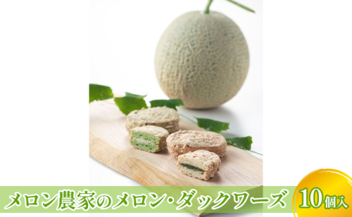 メロン農家のメロン・ダックワーズ10個入 お菓子 焼菓子 スイーツ  192439 - 石川県能美市