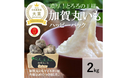 【日本農業賞大賞】加賀丸いもハッピーパック２ｋｇ（３～６個） 192453 - 石川県能美市