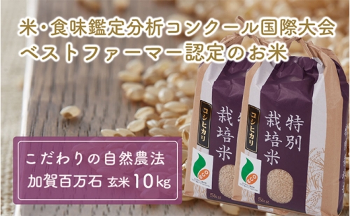  加賀百万石特別栽培米コシヒカリ玄米10kg 192623 - 石川県能美市