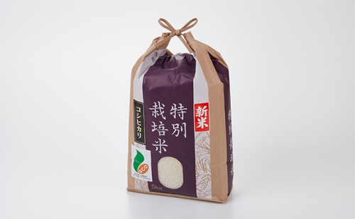  加賀百万石特別栽培米コシヒカリ白米10kg 192641 - 石川県能美市