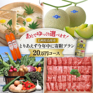 AI296 返礼品はあとでゆっくり選べます！とりあえず今年中に寄附プラン！【20万円コース】 [ 長崎県 島原市 ]