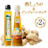 BI203 酢しょうが 230g ジンジャーシロップ 250g 計2本 480g [ 生姜 しょうが ショウガ ジンジャーエール シロップ セット 調味料 酢 松本農園 人作 長崎県 島原市 ]