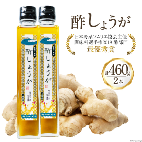 AI203 酢しょうが 230g 2本 計460g [ 生姜 しょうが ショウガ 調味料 酢 松本農園 人作 長崎県 島原市 ] 1926688 - 長崎県島原市