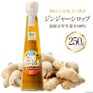 AI200 ジンジャー シロップ 250g 1本 [ 生姜 しょうが ショウガ ジンジャーエール ジンジャーハイボール 松本農園 人作 長崎県 島原市 ]